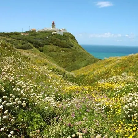 Secret Of Local Between Beach, Mountain & Lisbon * Sintra